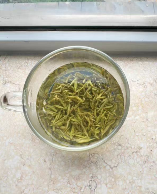 蒙顶甘露是哪里的茶？蒙顶甘露适合什么人喝
