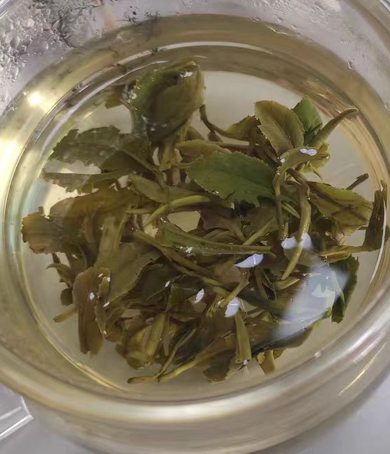 庐山云雾茶是中国十大名茶吗？庐山云雾茶什么牌子最好