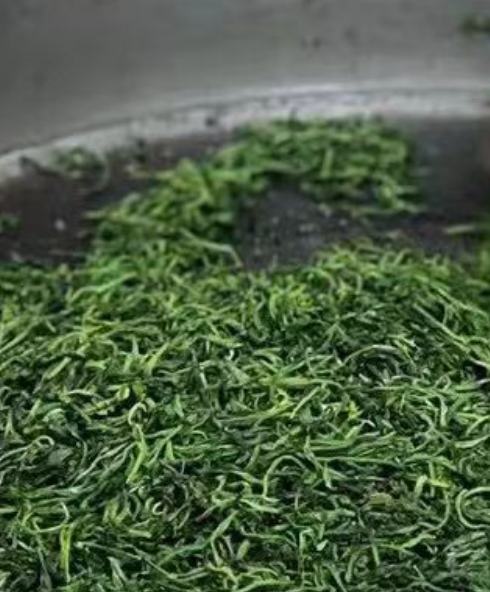 普陀佛茶是什么茶系？普陀山茶叶有哪些？