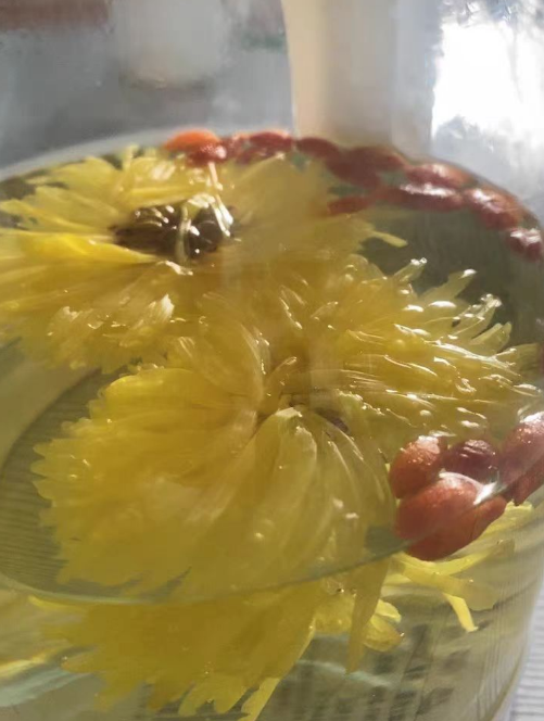 清驰菊和金丝皇菊是一种菊花茶吗？清驰菊花茶可以清理血管吗