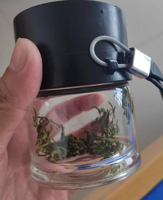 泰山女儿茶是什么茶？泰山女儿茶哪里的最好最正宗？