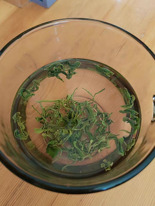 崂山绿茶属于什么档次？崂山绿茶的特点和功效
