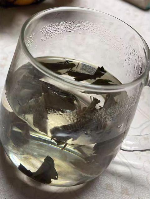 银杏叶茶是凉性还是热性？银杏叶怎么处理才能泡水喝