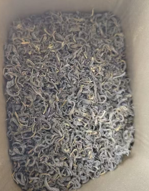 五岳山茶是哪里产的？五岳山茶哪个牌子好