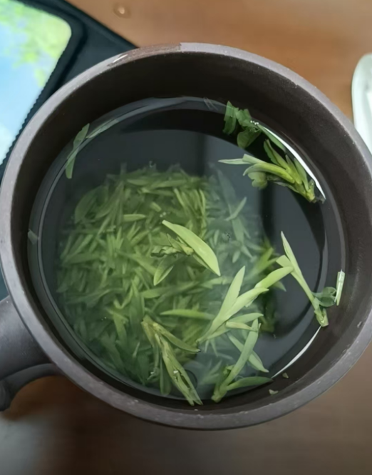 阳羡雪芽是绿茶还是白茶？阳羡雪芽是杂牌子吗
