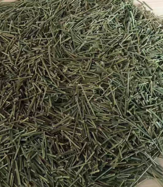 松针茶为什么不能多喝？松针茶的功效作用与禁忌