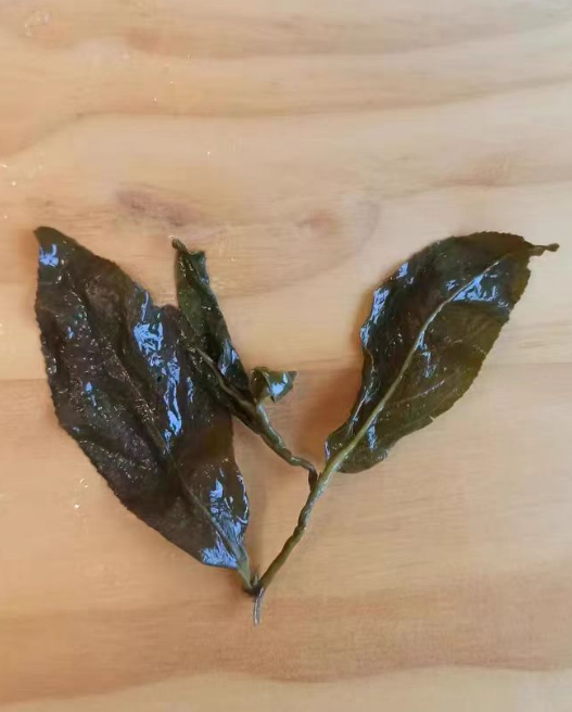 台湾大禹岭茶属于什么茶？台湾大禹岭是冬茶还是春茶好