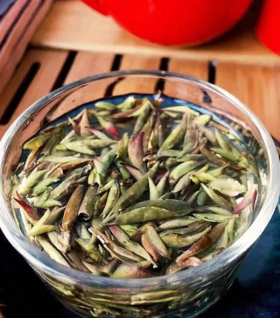 紫叶茶是什么茶？紫叶茶的功效与作用