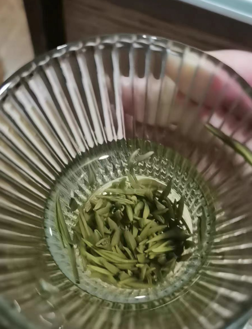 望海茶是绿茶还是白茶？望海茶的功效与作用