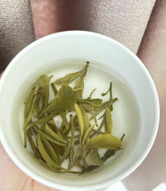 八仙云雾茶是什么茶？八仙云雾茶主产地是哪里
