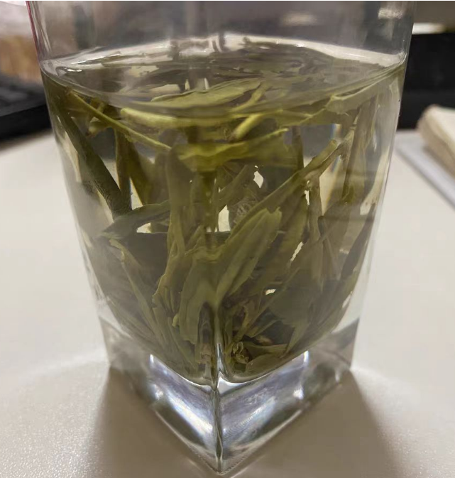 巴南银针是属于什么茶?巴南银针和永川秀芽哪个好