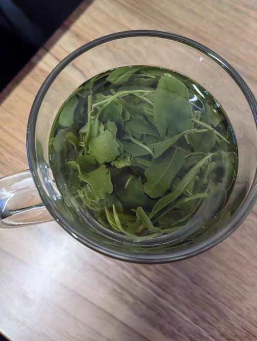 休宁松萝是不是徽州茶？休宁松萝是眉型茶吗