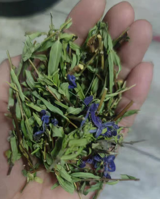黄芩茶适合什么人喝？黄芩茶泡水喝有什么功效与作用