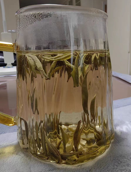 君山银针产量高吗？种植君山银针需要什么手续