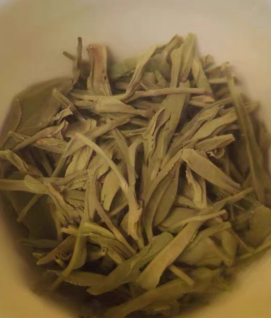 种植南京雨花茶根茎枯萎了怎么办？雨花茶根茎枯萎了怎么救活呢