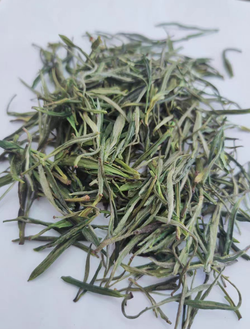黄山毛峰树种有几种？黄山毛峰树种可以培育吗