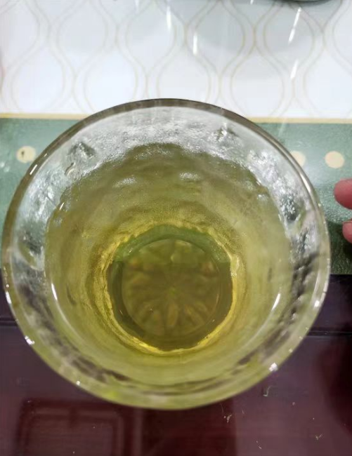 潮汕油甘茶是什么植物？潮汕油甘茶的功效与作用及禁忌