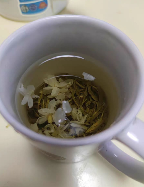 茉莉雪芽是什么品种？茉莉花茶和茉莉雪芽的区别