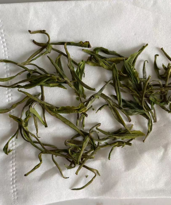安吉白茶种植几年可以采摘？安吉白茶几月份最好
