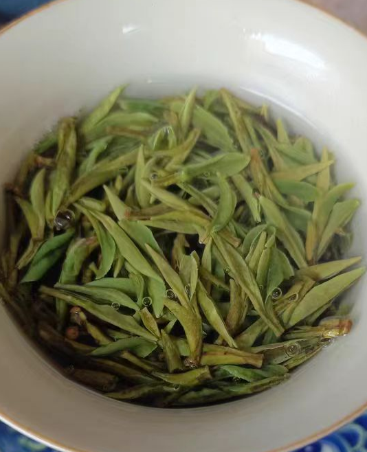 紫笋茶什么时候移栽茶苗最好？紫笋茶移栽茶苗怎么养护