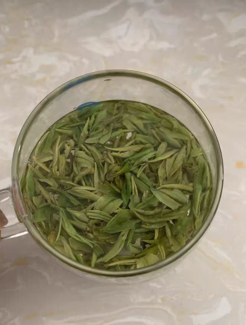 安吉白茶种植几年可以采摘？安吉白茶几月份最好