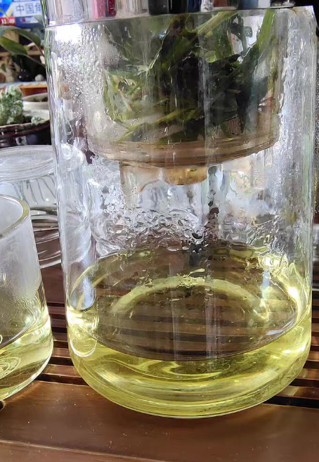 石竹茶什么人不能喝？石竹茶泡水喝竟有6个害处