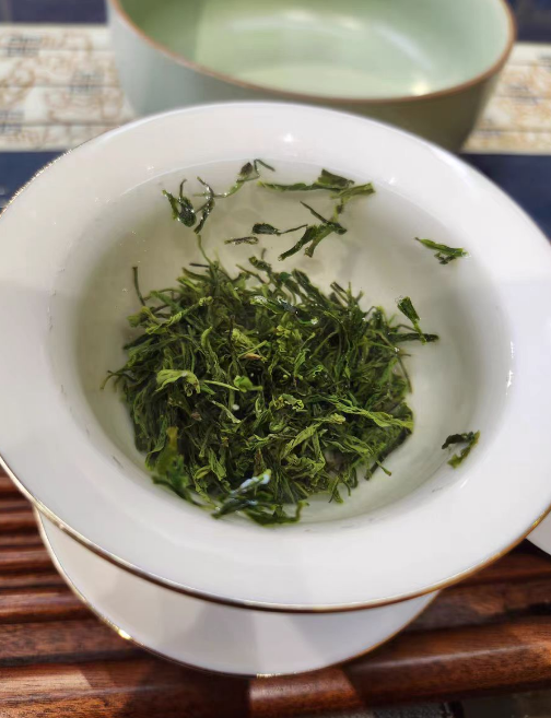种植恩施玉露需要剪枝吗？恩施玉露在什么时候不能采摘茶叶