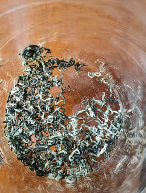 种植蒙顶甘露虫害有哪些？蒙顶甘露虫害怎么处理