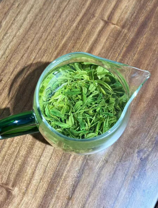 种植恩施玉露需要剪枝吗？恩施玉露在什么时候不能采摘茶叶
