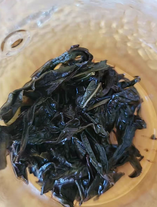 种植武夷水仙茶烂根怎么办？武夷水仙茶烂根的原因和解决办法