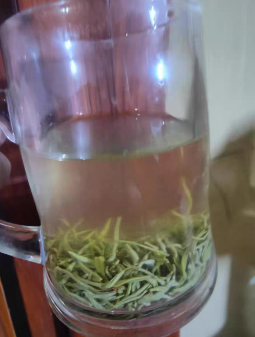 种植蒙顶甘露虫害有哪些？蒙顶甘露虫害怎么处理