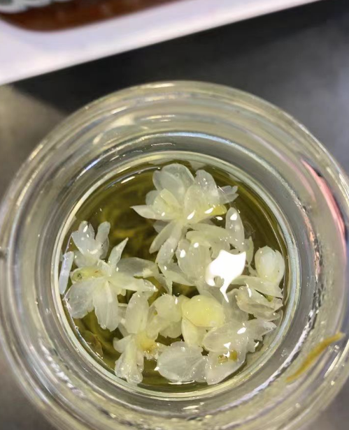 茉莉雪芽是什么品种？茉莉花茶和茉莉雪芽的区别