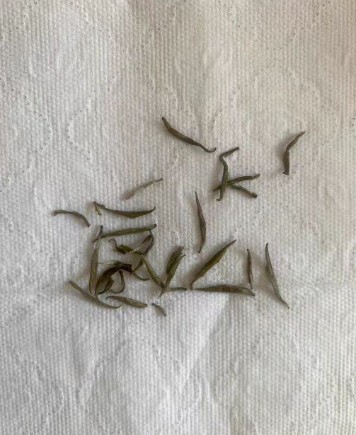 君山银针产量高吗？种植君山银针需要什么手续