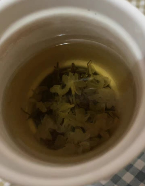 茉莉雪芽是什么品种？茉莉花茶和茉莉雪芽的区别