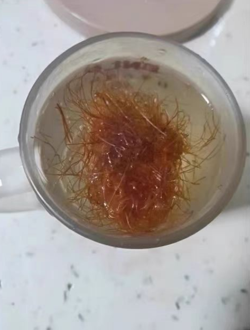 玉米须茶是凉性还是热性？玉米须茶喝了有什么好处