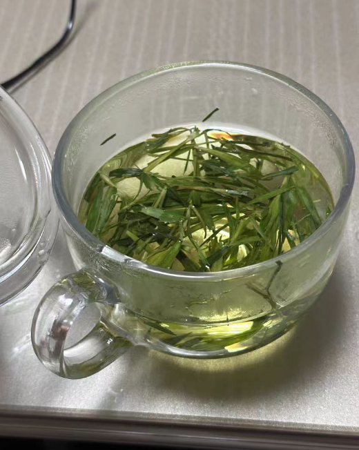 石竹茶什么人不能喝？石竹茶泡水喝竟有6个害处