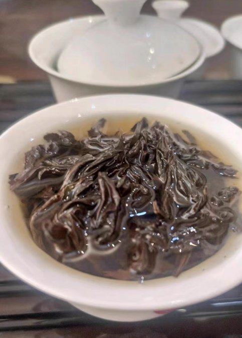种植武夷水仙茶烂根怎么办？武夷水仙茶烂根的原因和解决办法