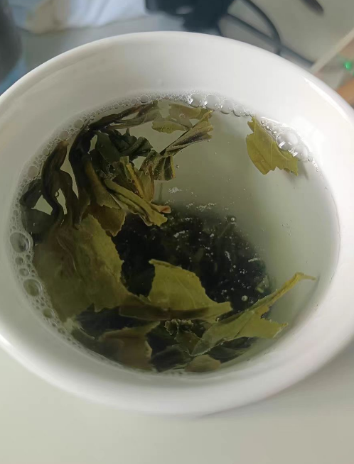 毛尖茶种植需要什么条件？新手能种植毛尖茶吗