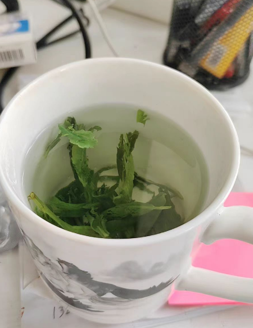 种植太平猴魁会冻死吗？种植太平猴魁怎么过冬
