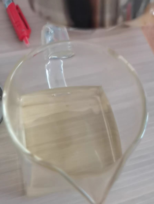 六安瓜片是什么茶树？谢裕大六安瓜片茶怎么样