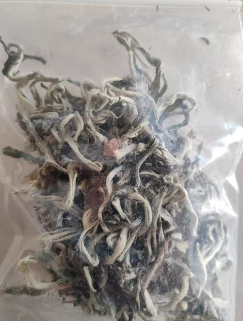 甘肃春尖茶是春茶吗？甘肃春尖茶什么时候种植和采摘最好