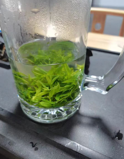 毛冬青茶是野生还是养殖的？野生毛冬青有毒吗可以吃吗