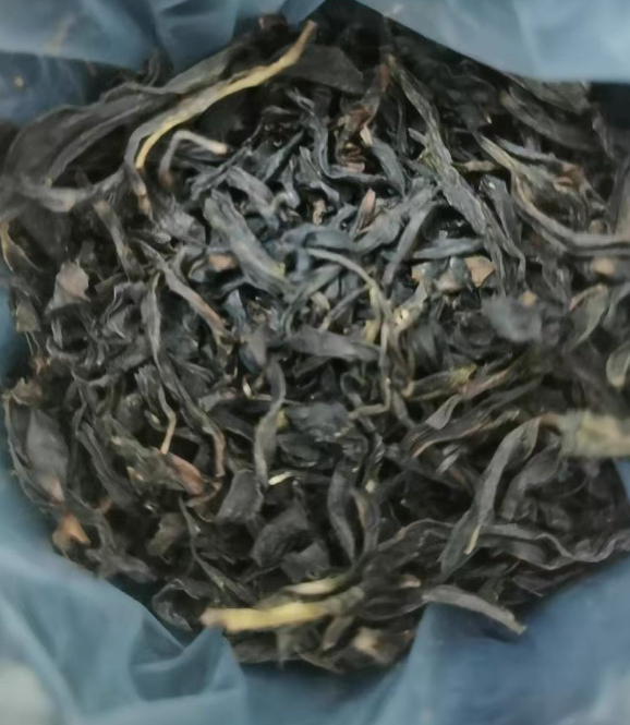 宋凰单丛茶属于什么茶？宋凰黑罐好还是红罐好