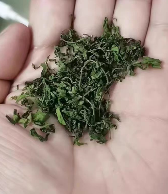 酸枣芽茶副作用及禁忌是什么？酸枣芽茶的6大害处