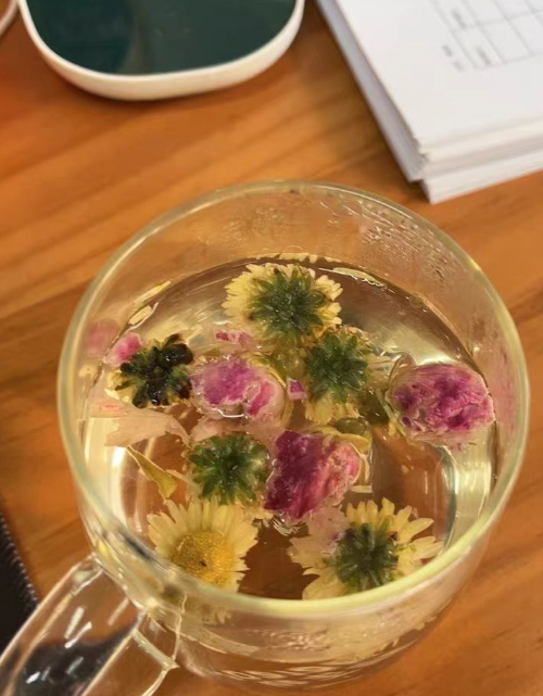 胎菊什么时候培育种子最好？胎菊培育种子怎么培育