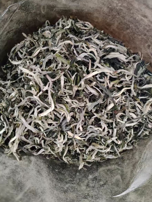 甘肃春尖茶是春茶吗？甘肃春尖茶什么时候种植和采摘最好