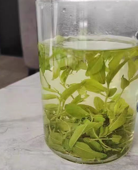 酸枣芽茶副作用及禁忌是什么？酸枣芽茶的6大害处