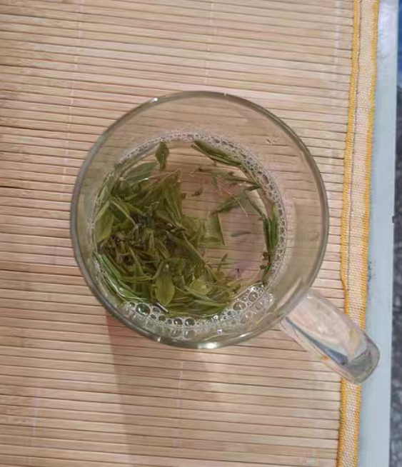 雪水云绿不适宜人群？雪水云绿茶功效与作用及禁忌