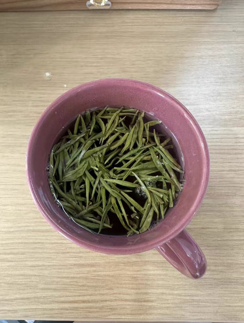 踏雪兰妃有几个品种？踏雪兰妃哪个品种好种植