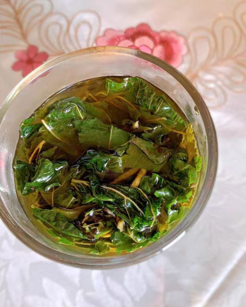 桑叶茶用的是哪种桑叶？桑叶茶的桑叶与养蚕的桑叶有何不同